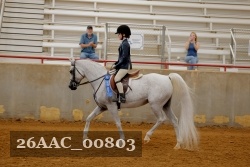 26AAC_00803 proof