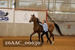 26AAC_00630 proof