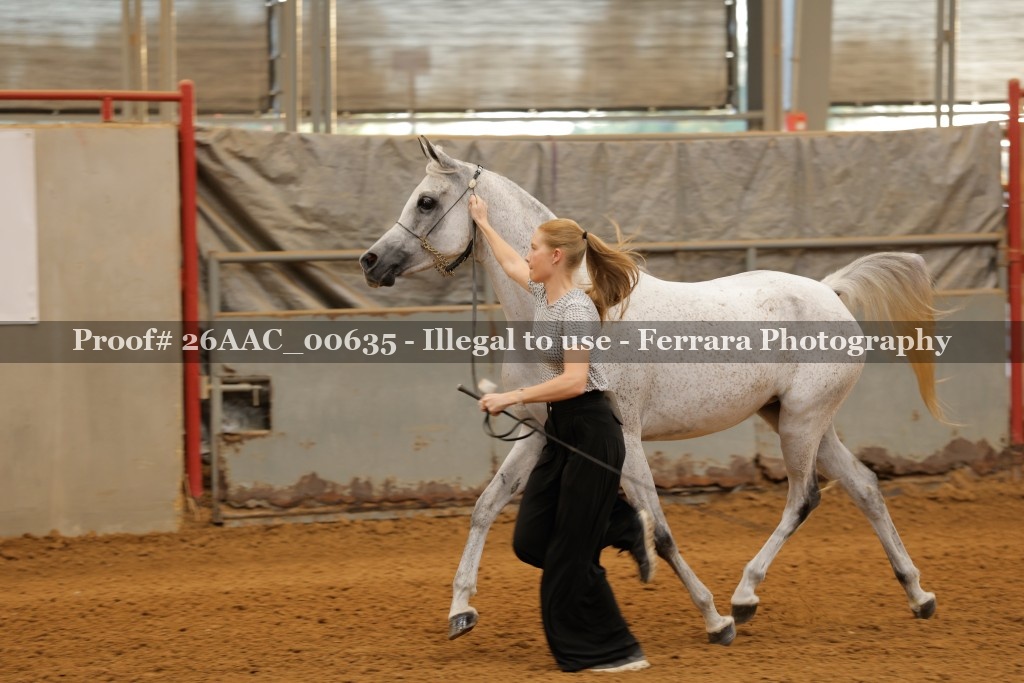 Proof 26AAC_00635