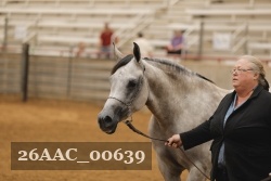 26AAC_00639 proof