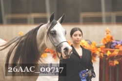 26AAC_00717 proof