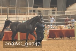 26AAC_00747 proof