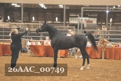 26AAC_00749 proof