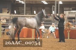 26AAC_00754 proof