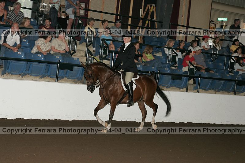 Proof Number r14-04_0448