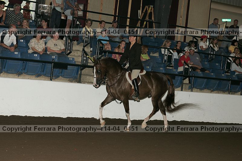 Proof Number r14-04_0451