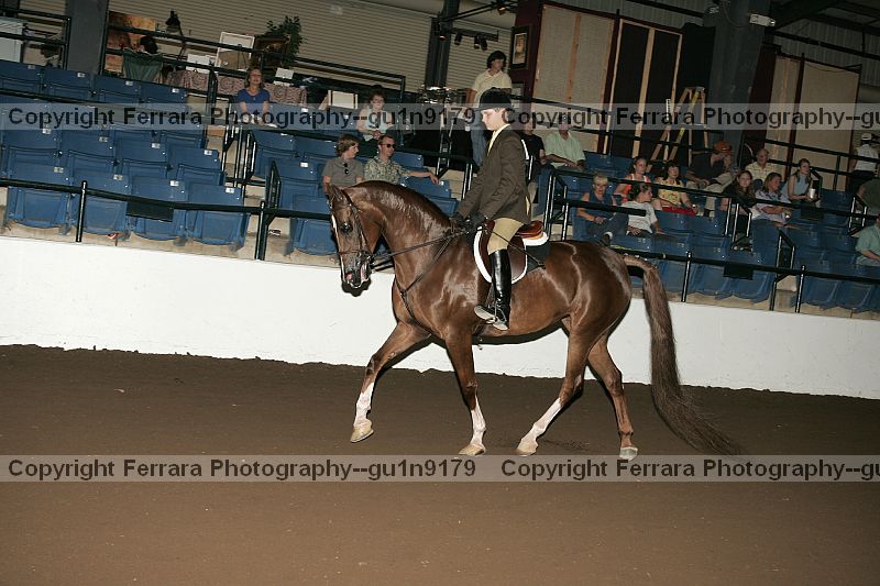 Proof Number gu1n9179