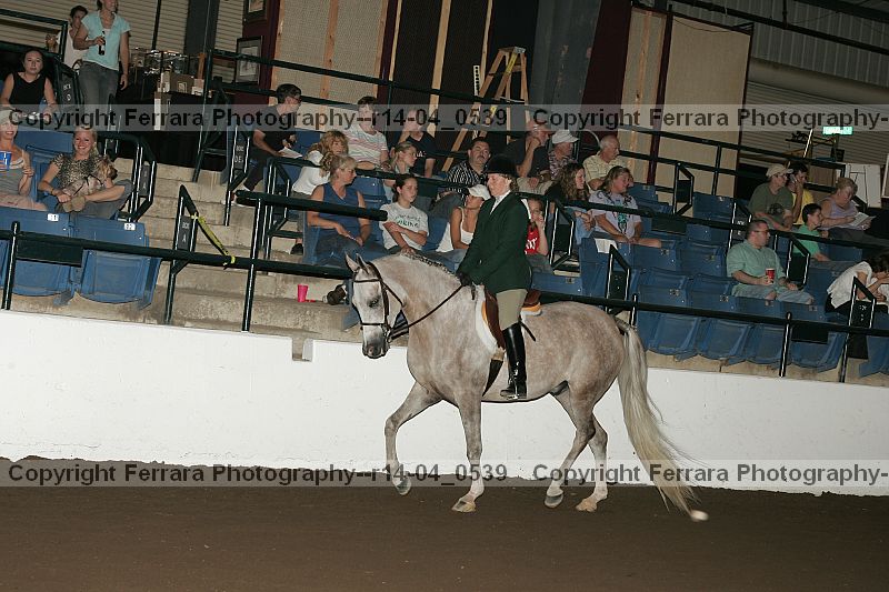 Proof Number r14-04_0539