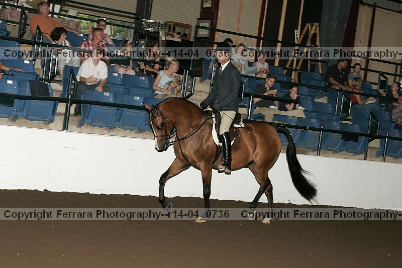 Proof Number r14-04_0736