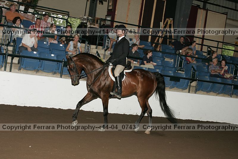 Proof Number r14-04_0743