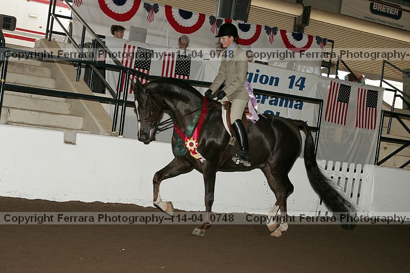 Proof Number r14-04_0748