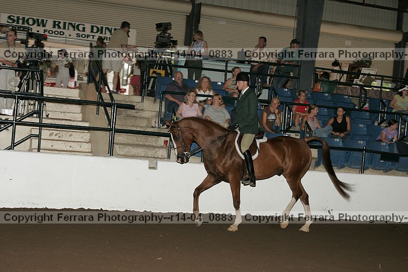 Proof Number r14-04_0883
