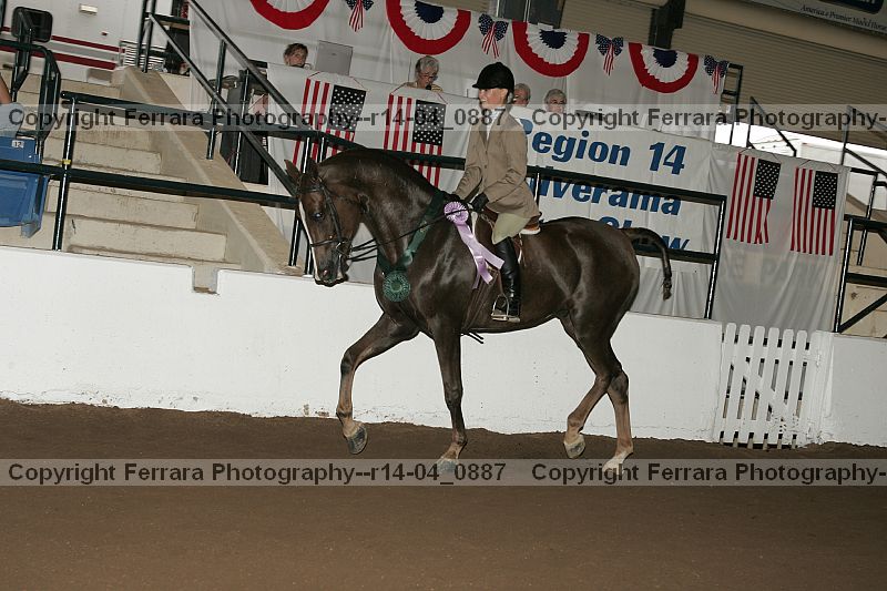 Proof Number r14-04_0887