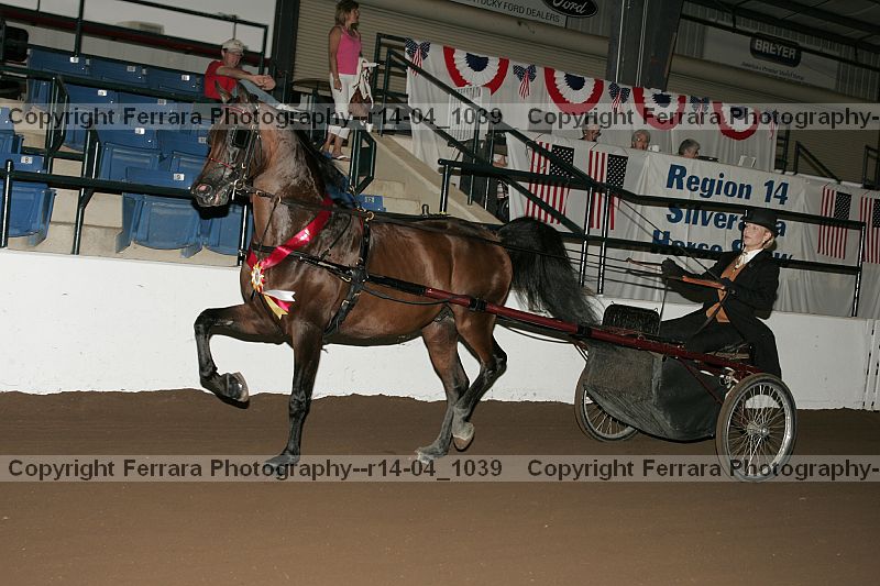 Proof Number r14-04_1039