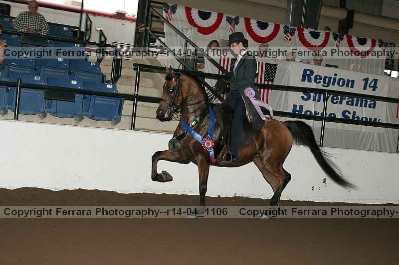 Proof Number r14-04_1106