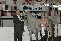 r14-04_0346 proof