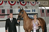 r14-04_0349 proof