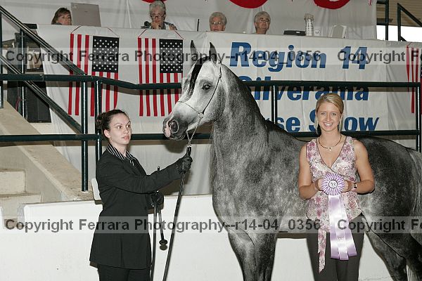 Proof r14-04_0356