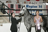 r14-04_0356 proof
