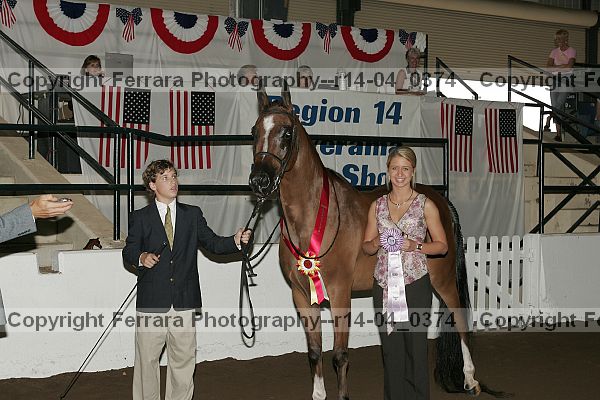 Proof r14-04_0374