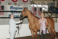 r14-04_0384 proof