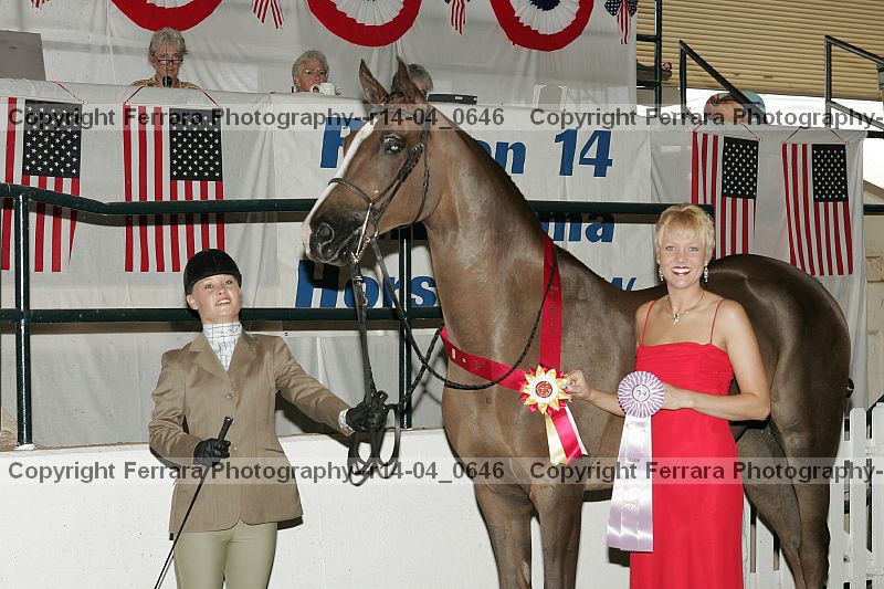 Proof r14-04_0646