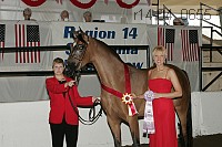 r14-04_0655 proof