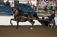 r14-04_0034 proof
