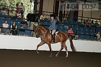 r14-04_0037 proof