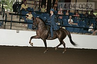 r14-04_0052 proof