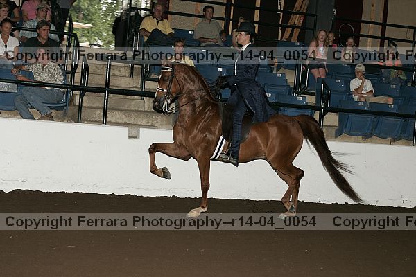 Proof r14-04_0054
