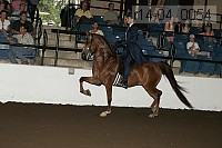 r14-04_0054 proof