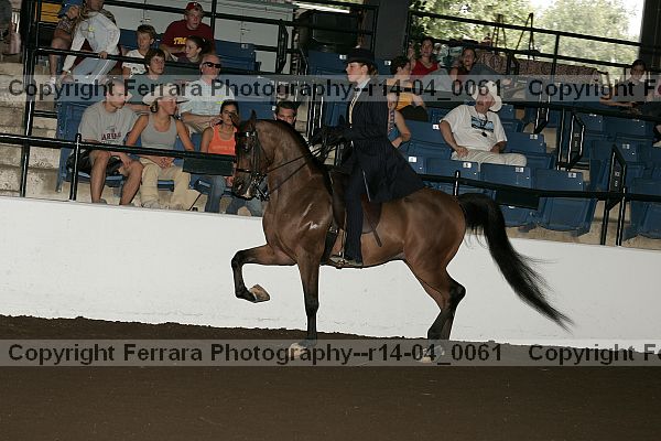 Proof r14-04_0061