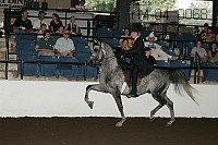 r14-04_0068 proof