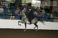 r14-04_0069 proof