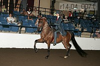 r14-04_0071 proof