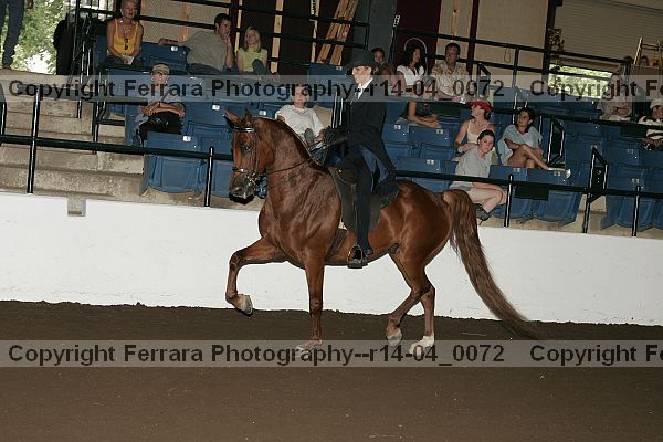 Proof r14-04_0072
