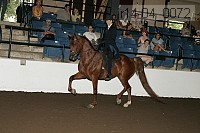 r14-04_0072 proof