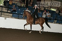 r14-04_0073 proof