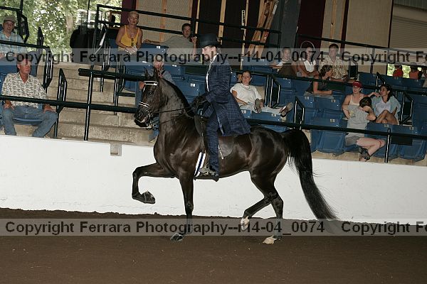 Proof r14-04_0074