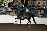 r14-04_0074 proof