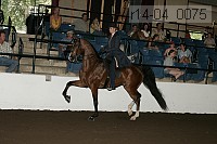 r14-04_0075 proof