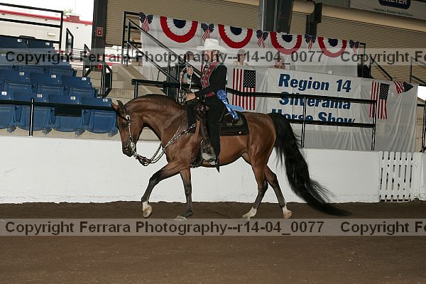 Proof r14-04_0077