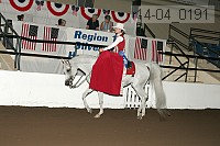 r14-04_0191 proof