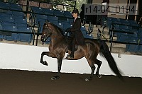 r14-04_0194 proof