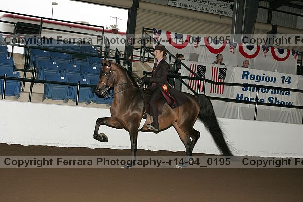 Proof r14-04_0195