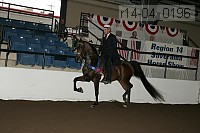 r14-04_0196 proof