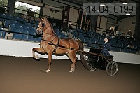 r14-04_0199 proof