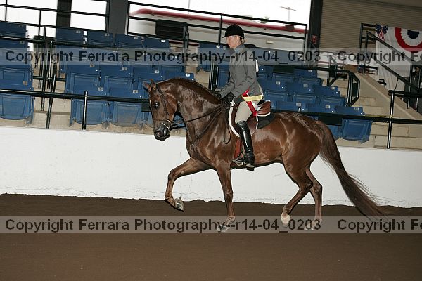 Proof r14-04_0203