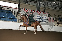 r14-04_0204 proof